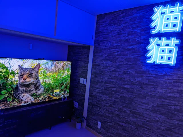 A room lit blue, with the kanji 猫猫 in glowing neon on a stone-effect wall and a large TV showing a tabby cat lying in the grass.