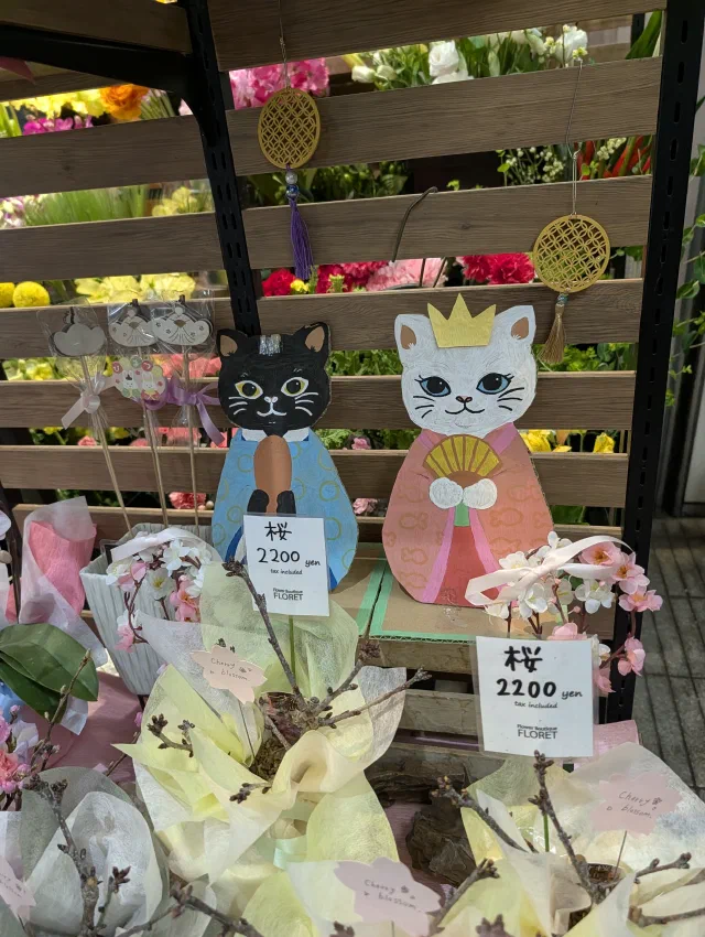 Two painted cardboard cats in kimono, a black one in blue and a white one in pink with a crown and a fan, standing behind potted cherry blossom branches priced at 2,200 yen at a florist's.