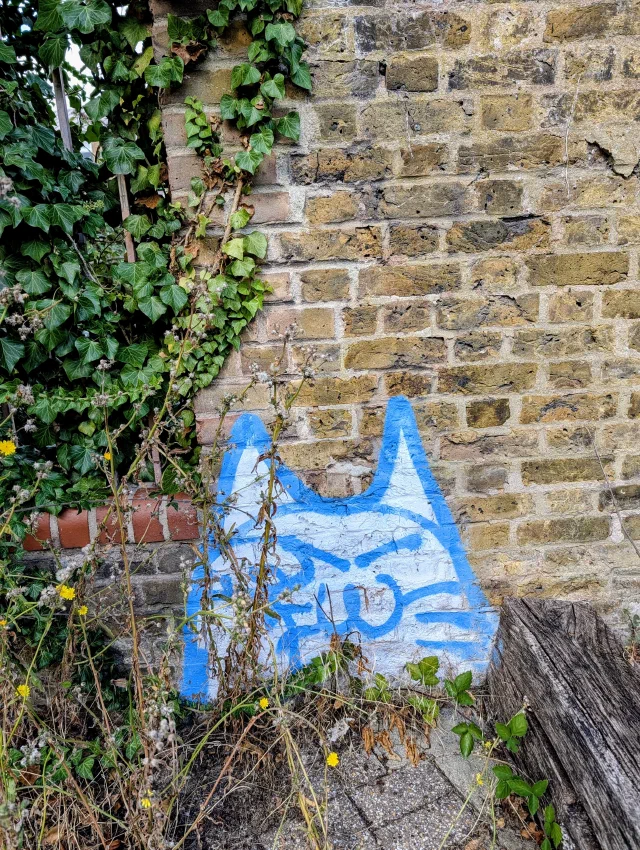 A simple blue outline of a cat's head with its tongue out, low on an old brick wall among weeds and ivy.