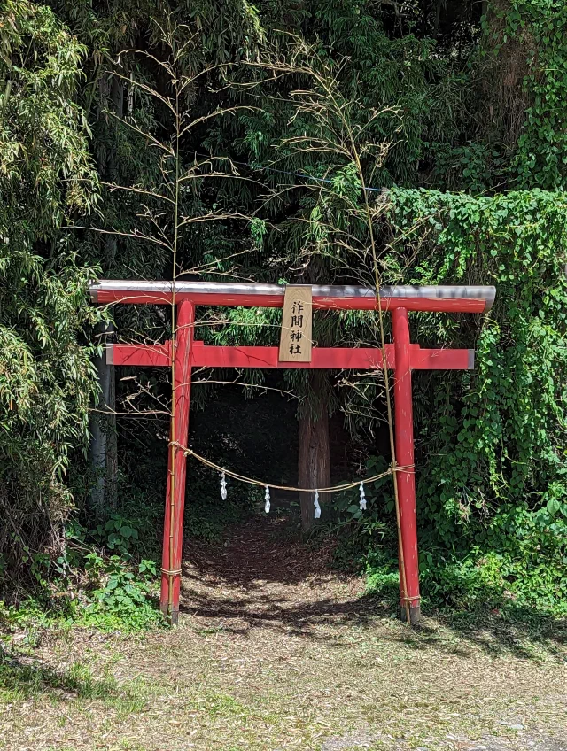 A plain red torii with a wooden name plaque and a rope hung with paper streamers, standing at the edge of thick bamboo and vine-covered woods, with a path leading into the shade.