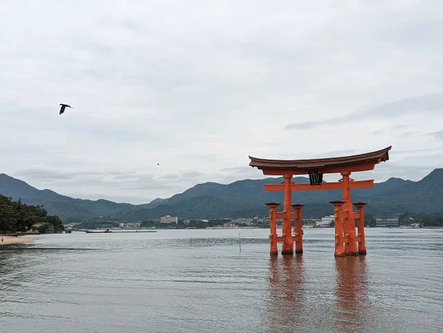 The large vermilion torii of Itsukushima Shrine standing in calm grey water off the shore, reflected below, with green mountains and a town on the far side and a bird flying across an overcast sky.