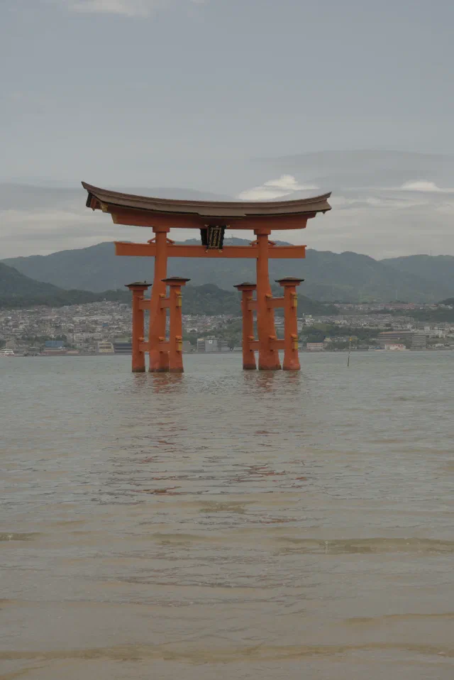 The vermilion Ōtorii of Itsukushima standing in shallow brown water under a grey sky, with the town and hills of the mainland behind.