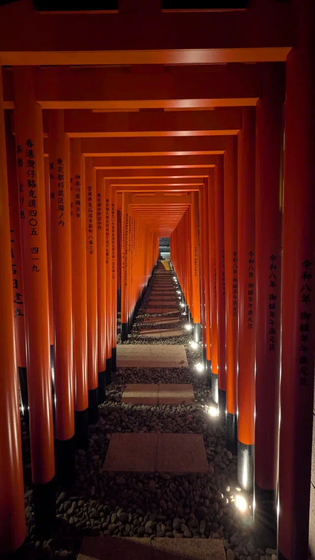A tunnel of closely spaced vermilion torii lit from below at night, with black inscriptions on the pillars and stepping stones leading up steps into the distance.