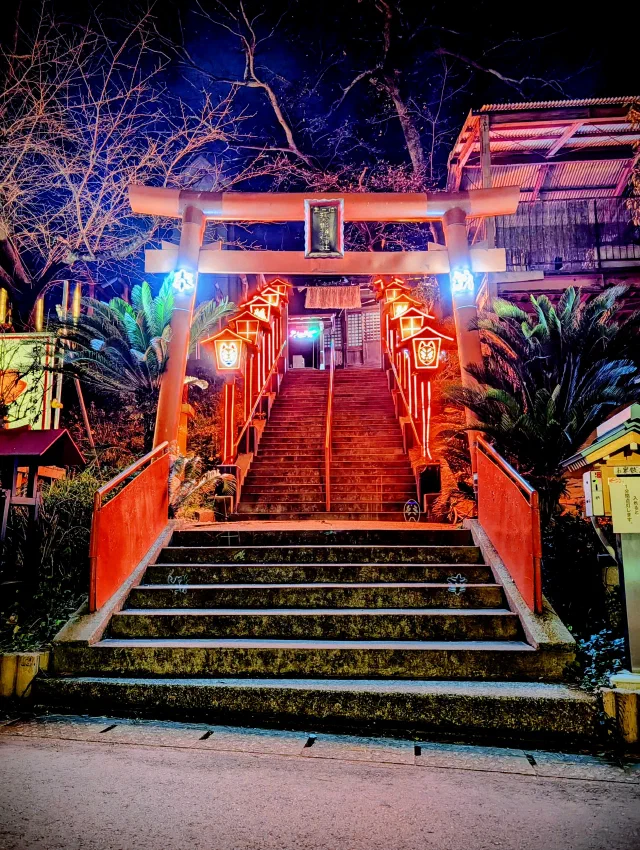 Stone steps lit red and blue at night, leading up through an orange torii and an avenue of glowing lanterns with fox faces, between cycads.