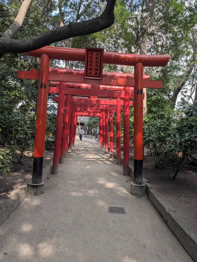 A short tunnel of red torii with black bases over a sunlit path through trees, with a plaque on the first gate and a few people at the far end.