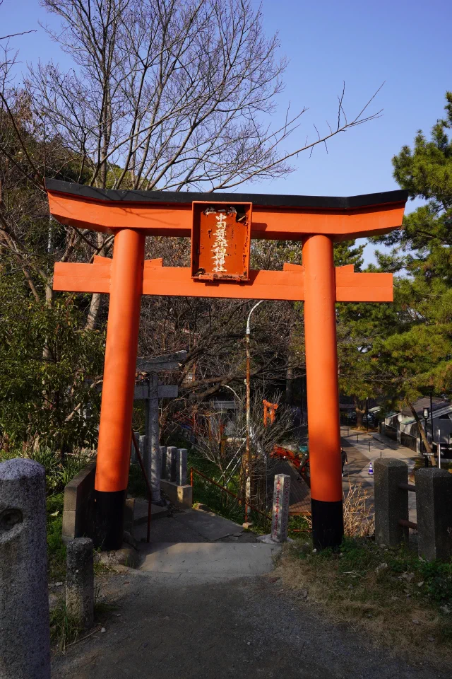 An orange torii with black-footed pillars and a peeling red plaque on a hillside path, with bare trees, pines and more red torii behind.