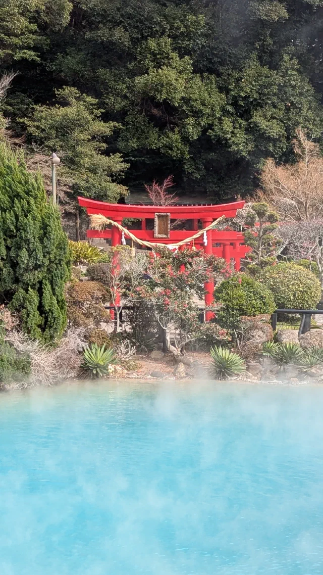 A red torii with a thick straw rope among trimmed shrubs and agaves on the far side of a milky turquoise hot spring pond, with steam drifting over the water.