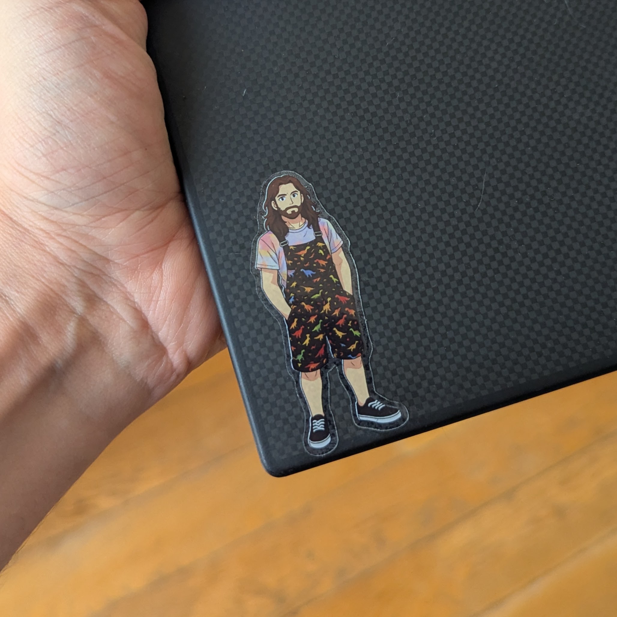 Stricker on Laptop