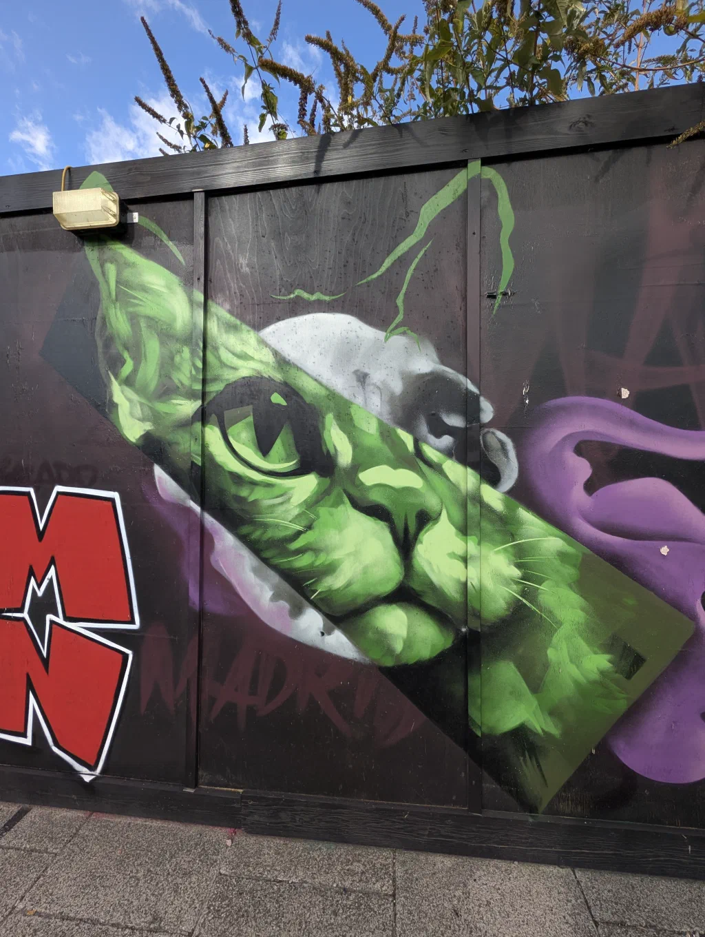 A green cat with a pale skull behind its head, inside a diagonal green frame, next to large red letters.