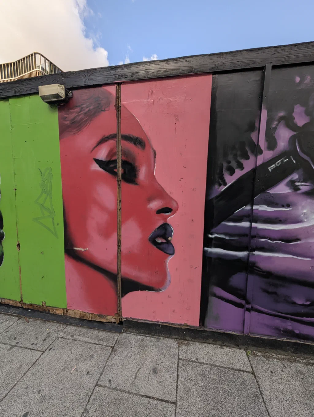 A woman in profile with a red face and dark lips, painted on a pink panel next to a green one.